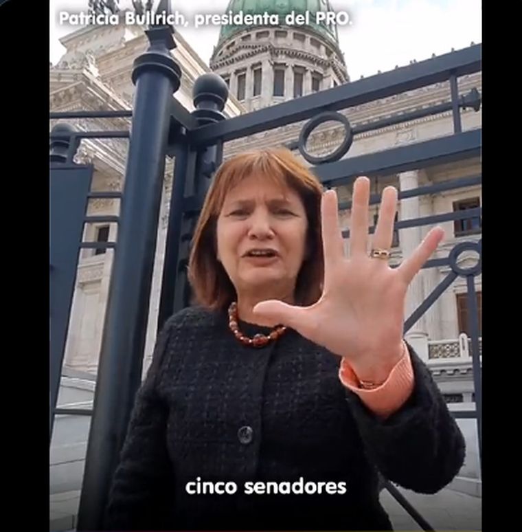 Patricia Bullrich se puso al frente de la campaña con un picante mensaje contra el kirchnerismo.