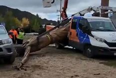 La caída del Cristo del Manzano Histórico. Foto: Captura La caída del Cristo del Manzano Histórico. Foto: Captura