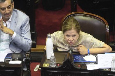 MDZol | Minutos después de que gran parte del bloque de Juntos por el Cambio haya dejado el recinto. La diputada nacional de Consenso Federal arremetió vía Twitter contra el presidente de la Nación. Foto: Telam