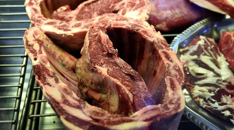 Foto: ALF PONCE MERCADO / MDZ