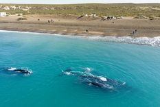 Foto: Madryn Travel Foto: Madryn Travel