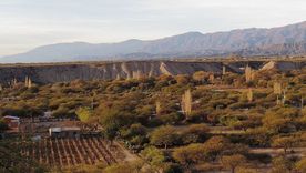 Amaicha del Valle es un pueblo tucumano donde la Pachamama y el paisaje calchaquí marcan toda la identidad local. Amaicha del Valle es un pueblo tucumano donde la Pachamama y el paisaje calchaquí marcan toda la identidad local.