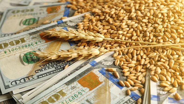 La agroexportación ingresó 1.499 millones de dólares en febrero. Foto: Shutterstock