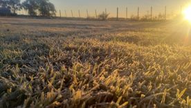 Calor futbolero y frío polar: el agro sostiene el ingreso de dólares con exportaciones récord pero las terminales enfrentan la amenaza de paro. Calor futbolero y frío polar: el agro sostiene el ingreso de dólares con exportaciones récord pero las terminales enfrentan la amenaza de paro.