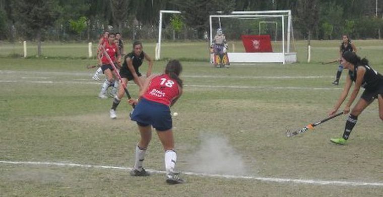 217411.jpg