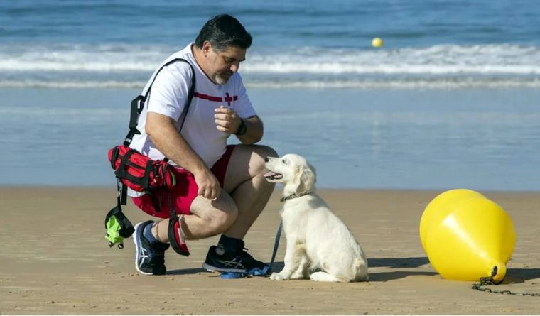 Los perros pequeños viven más tiempo. Foto: Efe.