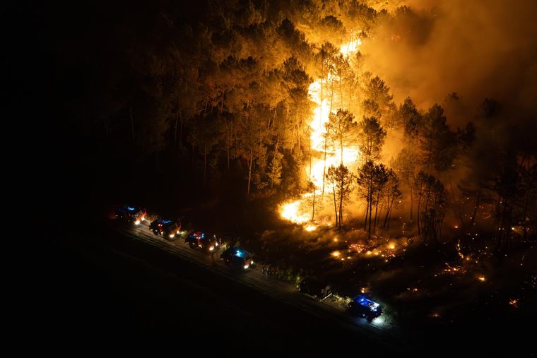 Según las autoridades, los incendios forestales en Francia han arrasado un total de 115.000 hectáreas en lo que va del año.