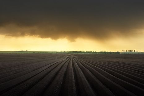 Las lluvias severas podrían traer complicaciones en plena campaña agrícola. Las lluvias severas podrían traer complicaciones en plena campaña agrícola.