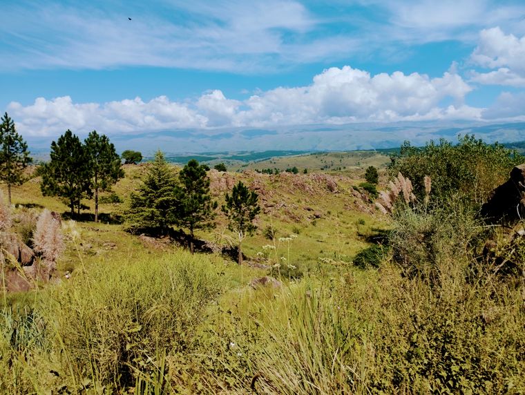 Este pueblo de Córdoba combina sierras, ríos y tranquilidad para disfrutar el verano.