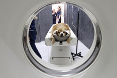 El tomógrafo de la Universidad Nacional de La Plata estará disponible para los privados que requieran de su uso. El tomógrafo de la Universidad Nacional de La Plata estará disponible para los privados que requieran de su uso.