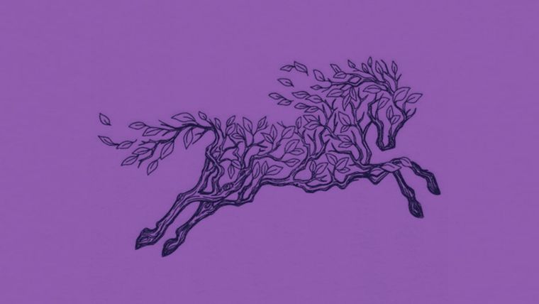 Test de personalidad