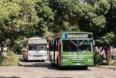 Foto: Santiago Tagua/MDZ Foto: Santiago Tagua/MDZ