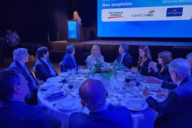 MDZol | 1386112.jpeg