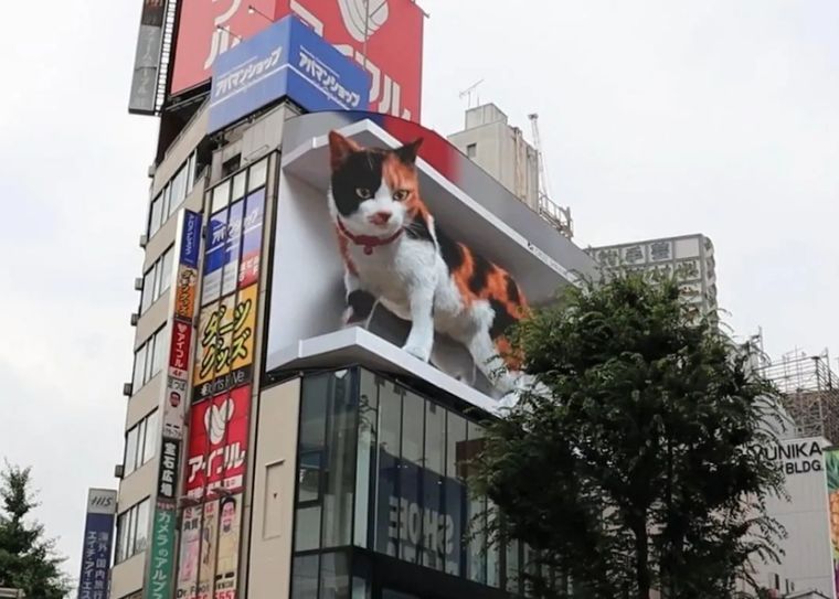 Un gato de 15 metros de largo en Tokio.