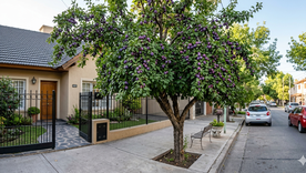 Ideal para las veredas. Fuente IA Gemini.