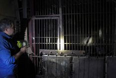 La bodega Arizu, en el corazón de Mendoza.