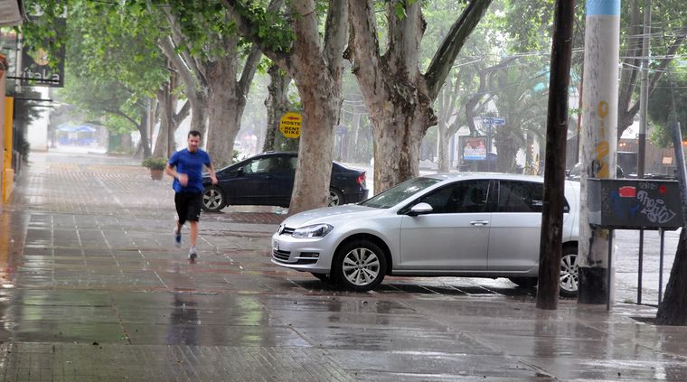 Foto: Alf Ponce / MDZ