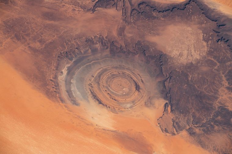 El descubrimiento se hizo en un oasis ubicado en el norte del desierto de Arabia (imagen ilustrativa) Foto: Shutterstock