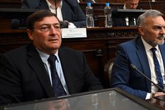 Omar Parisi y Félix González se diferenciaron del bloque peronista y acompañaron el proyecto de Reforma de la Constitución.&nbsp; 
