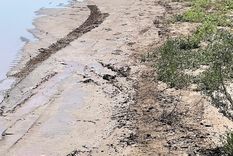 Los investigadores en el lugar donde apareció muerto el hombre. Foto: gentileza.