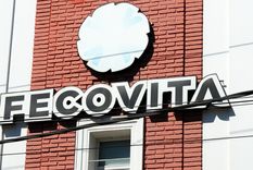 La asociación de cooperativas vitivinícolas mantiene un conflcito judicial con la empresa Iberte. Foto: ALF PONCE MERCADO / MDZ