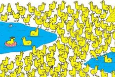 Acertijo visual, reto visual, pollito Pinterest Foto: Archivo MDZ