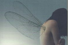 en brazos del enemigo, la nueva novela de canela