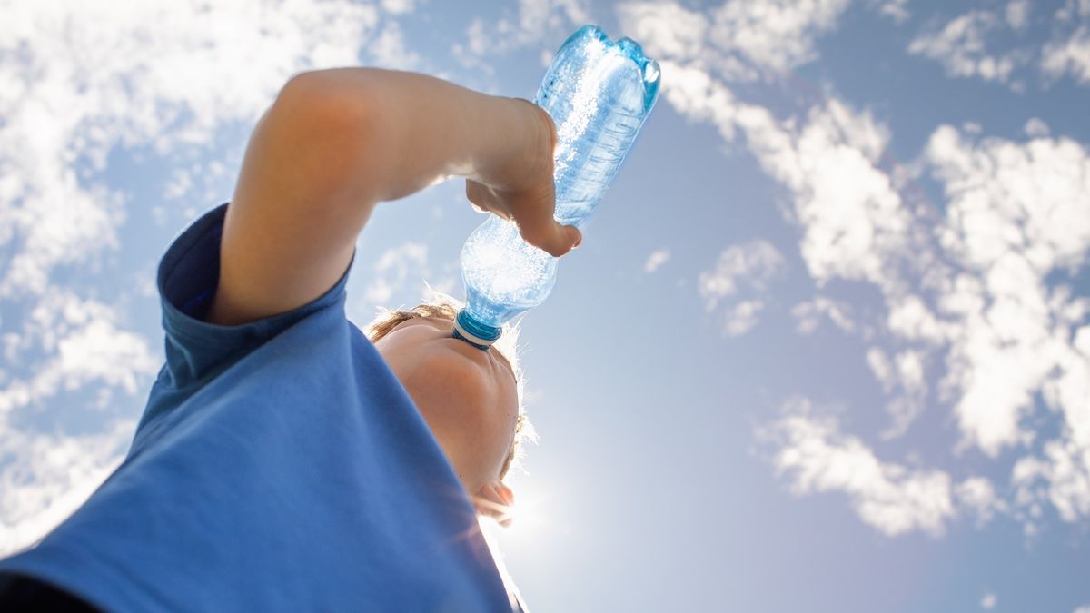 No las tires: aprendé a desinfectar tus botellas de plástico con vinagre y arroz