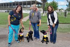 Los cachorros tienen cuatro meses Foto: Servicio Penitenciario Bonaerense