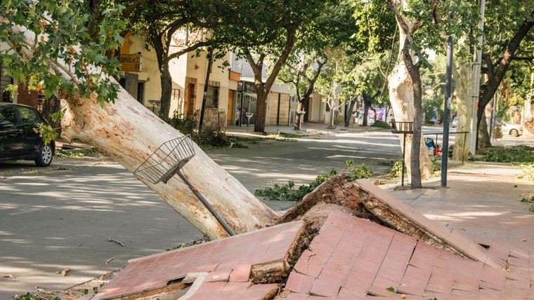 Foto: Santiago Tagua/MDZ