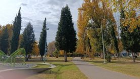 Jornada agradable para disfrutar el otoño en Mendoza. Jornada agradable para disfrutar el otoño en Mendoza.