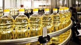 Foto: Shutterstock Foto: Shutterstock