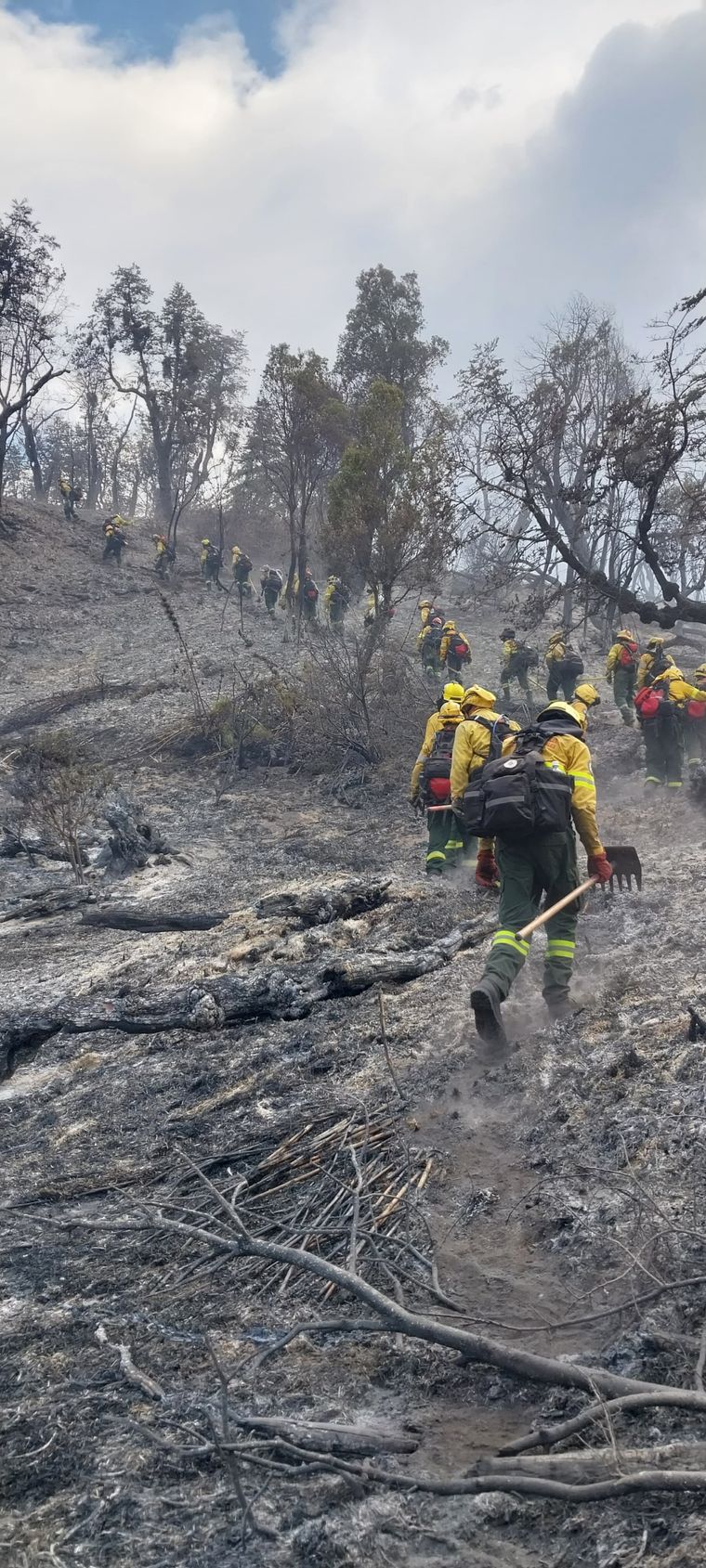 Parque Nacional Los Alerces Hace una semana comenzaron los incendios en el Parque Nacional Los Alerces Foto: Instagram /Parque Nacional Los Alerces