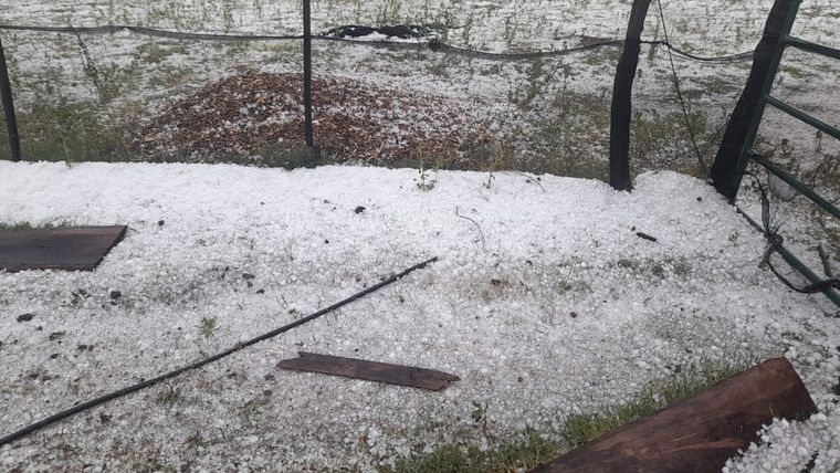 Foto ilustrativa. Foto: Gentileza