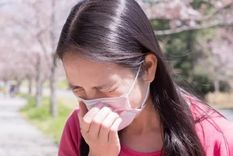 La alergia al polen afecta al 42,5% de la población de Japón, según datos oficiales de 2019. Los peores meses son marzo y abril. Foto: GETTY IMAGES