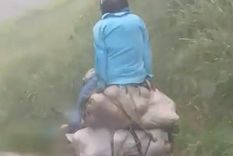 Sin miedo Dan ganas de hacer apuestas sobre cuánto tiempo más van a vivir estos muchachos. Sin miedo Dan ganas de hacer apuestas sobre cuánto tiempo más van a vivir estos muchachos.