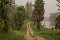 Carcarañá, el pueblo santafesino que combina naturaleza, historia y el encanto del río.