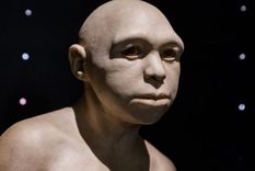 Una escultura que representa al Homo antecessor. Foto: GETTY IMAGES
