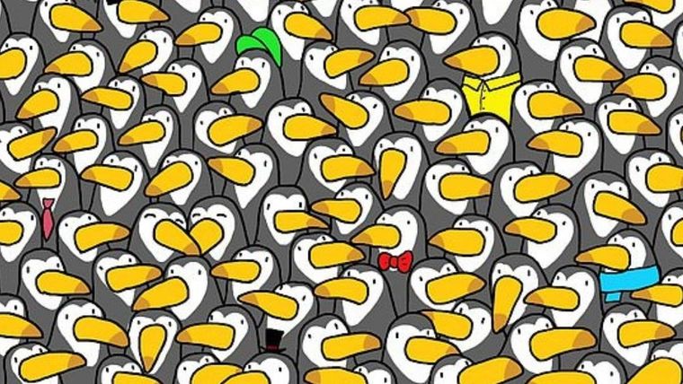 Acertijo visual, reto visual, pingüino