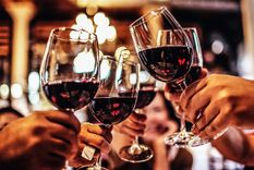 mendoza challenge dia mundial del malbec: que el brindis no pare