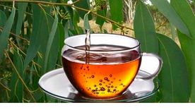 Te contamos cuáles son las bebidas más beneficiosas para el cuerpo en esta nota Foto: Shutterstock