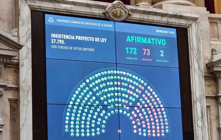 La mitad de los diputados mendocinos votó a favor y la otra mitad en contra