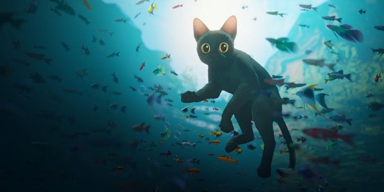 Este sábado no te quedés sin salir, te recomendamos 5 opciones para que pases un buen momento este fin de semana en Mendoza. Foto: Archivo MDZ