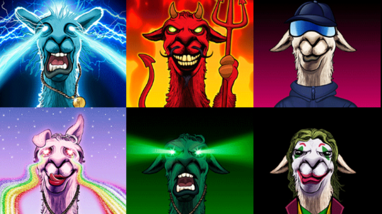 Foto: LA LLAMA POLITICALLY INCORRECT CLUB