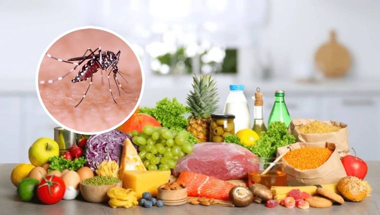 Cuáles son los alimentos que no debes consumir si contraes dengue (Shutterstock). Foto: Archivo MDZ
