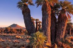 Foto: @conoce_traslasierra