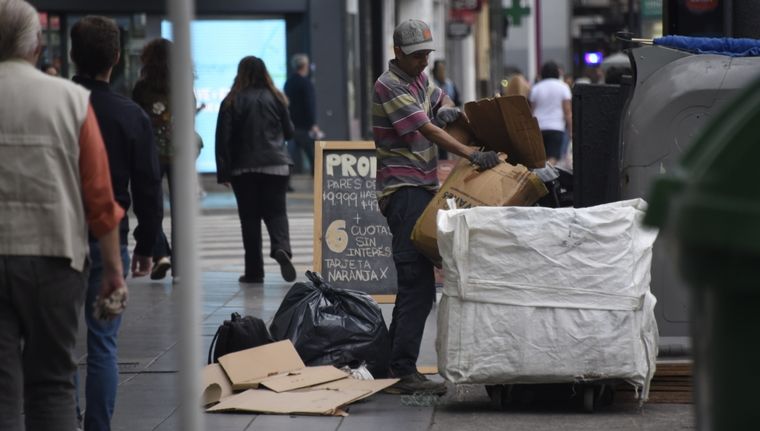 La lucha diaria por sobrevivir en los contenedores de residuos. Foto: Juan Mateo Aberastain Zubimendi / MDZ