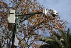 Foto: ALF PONCE MERCADO / MDZ Foto: ALF PONCE MERCADO / MDZ