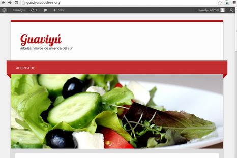 Cómo tener tu web propia gratis