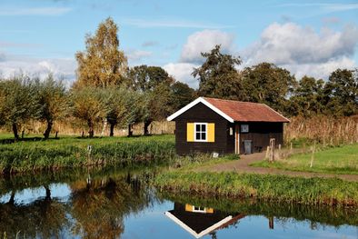 MDZol | Lagos, lagunas y fuentes en casas: el nuevo paisajismo que pisa fuerte. Foto: Foto: Freepik